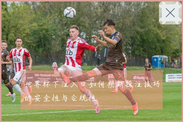 世界杯下注入口如何判断投注技巧的安全性与合规性
