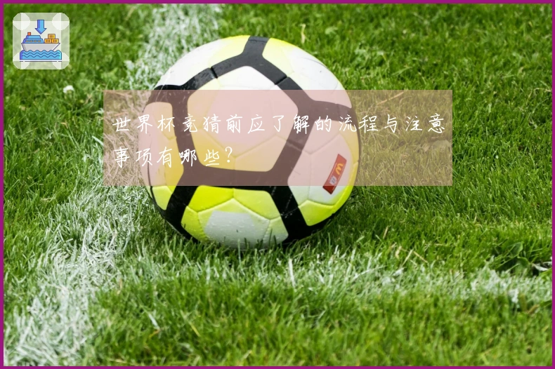 世界杯竞猜前应了解的流程与注意事项有哪些？