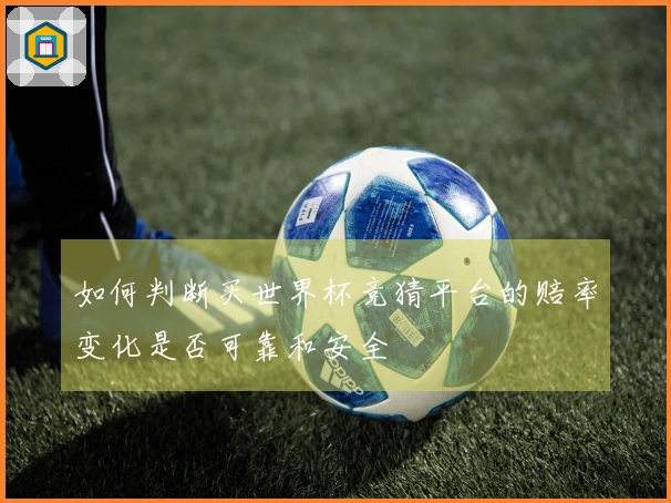 如何判断买世界杯竞猜平台的赔率变化是否可靠和安全