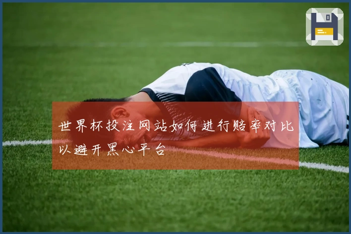 世界杯投注网站如何进行赔率对比以避开黑心平台