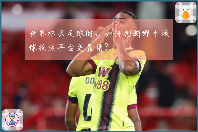 世界杯买足球时，如何判断哪个滚球投注平台更靠谱？